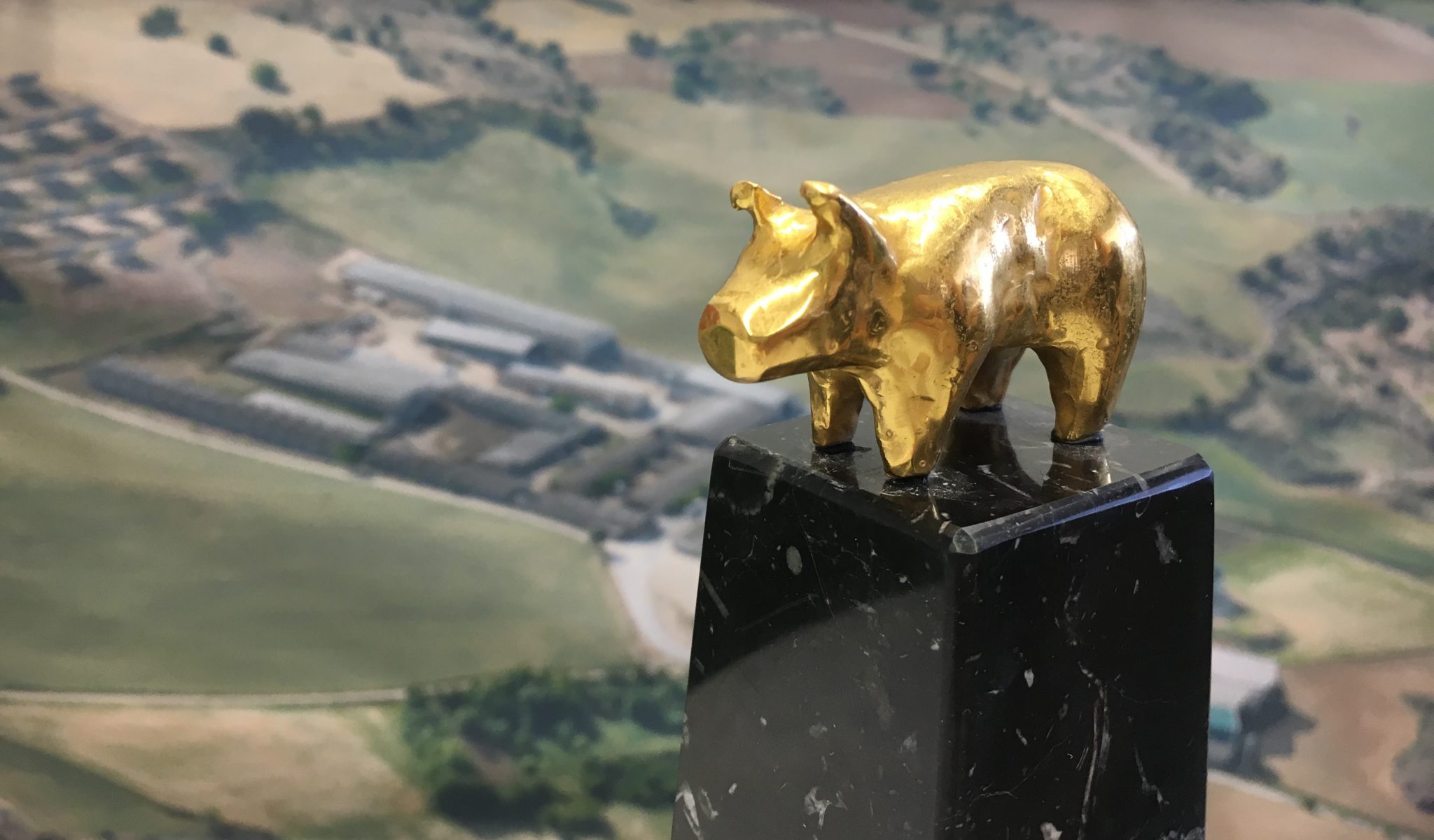 La Agencia Oinkers, empresa CEEIARAGON, se encargará de la comunicación de la 30ª edición de los Premios Porc d’Or de Capa Blanca
